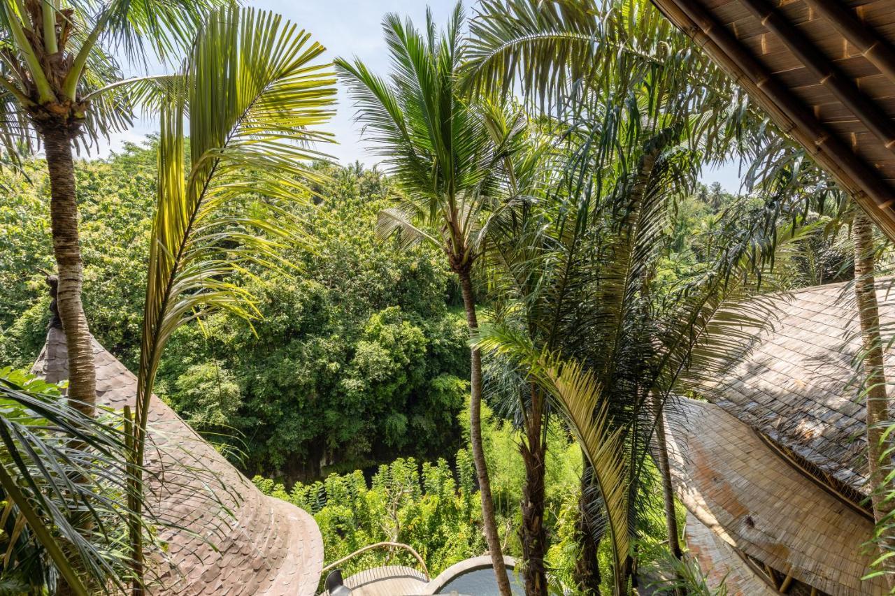 Eclipse House 4Bds Eco Bamboo House Pool Riverview Bringkit Exterior photo