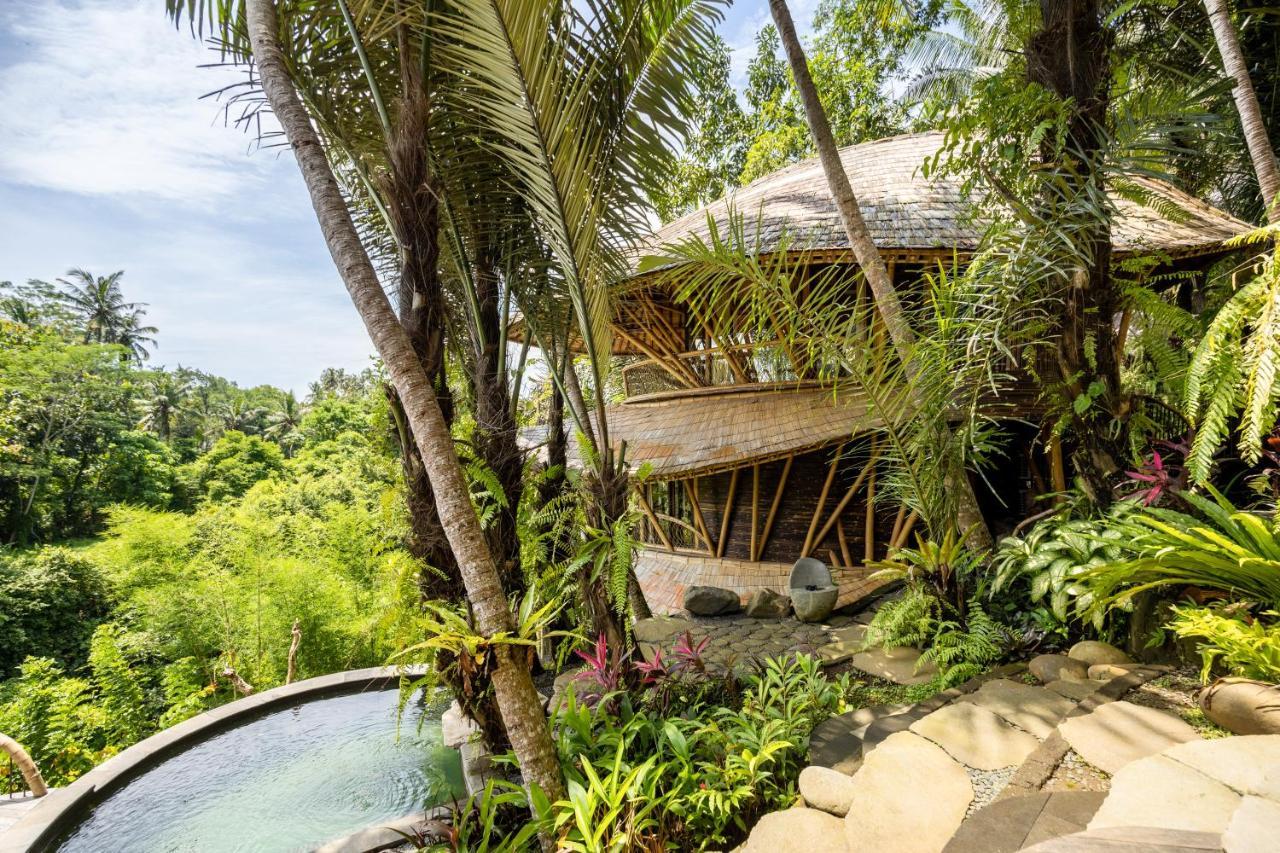 Eclipse House 4Bds Eco Bamboo House Pool Riverview Bringkit Exterior photo