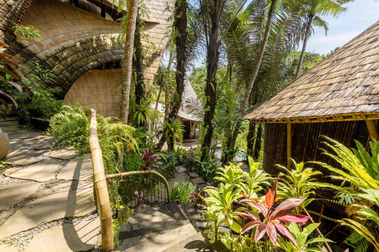 Eclipse House 4Bds Eco Bamboo House Pool Riverview Bringkit Exterior photo