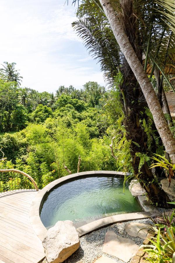 Eclipse House 4Bds Eco Bamboo House Pool Riverview Bringkit Exterior photo