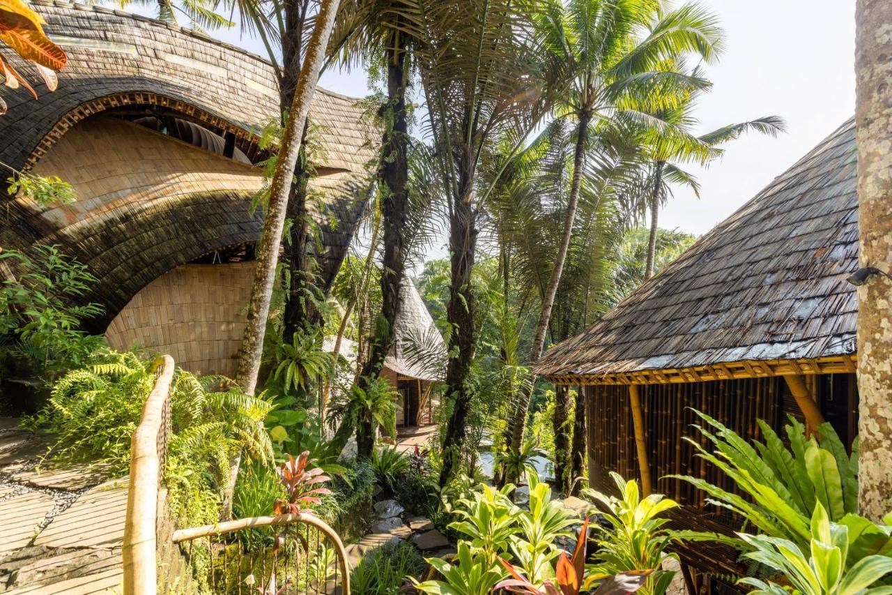 Eclipse House 4Bds Eco Bamboo House Pool Riverview Bringkit Exterior photo